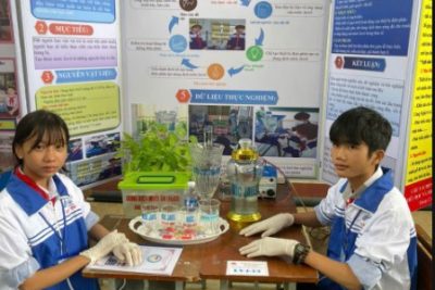 Tham gia Ngày hội STEM và cuộc thi KHKT cấp huyện năm học 2024 – 2025