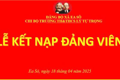 Kết nạp Đảng viên năm 2025